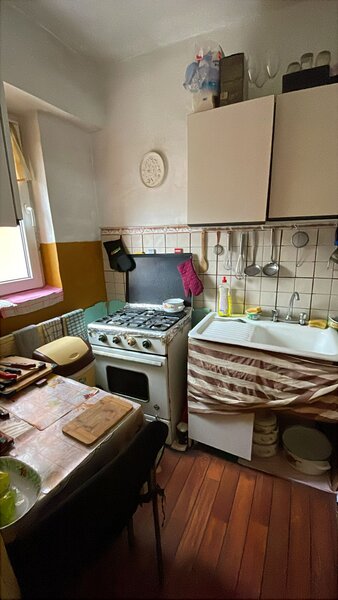 Colentina Teiul Doamnei