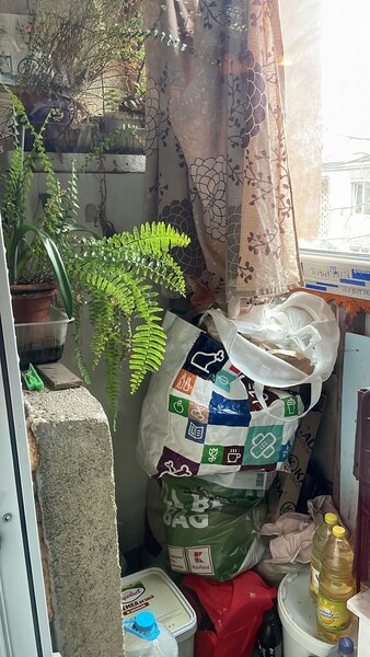 Colentina Teiul Doamnei