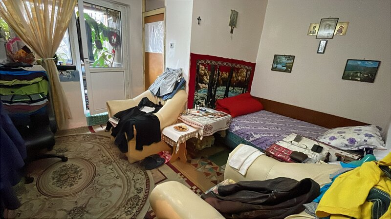 Colentina Teiul Doamnei