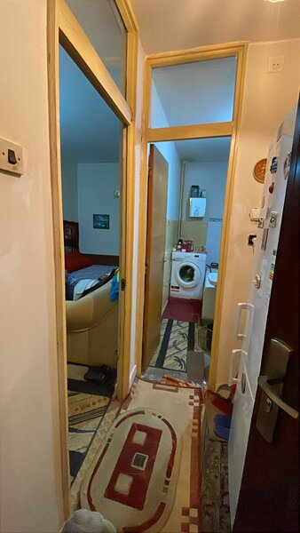 Colentina Teiul Doamnei