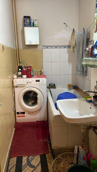 Colentina Teiul Doamnei