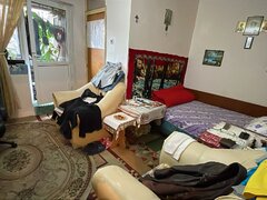 Colentina Teiul Doamnei